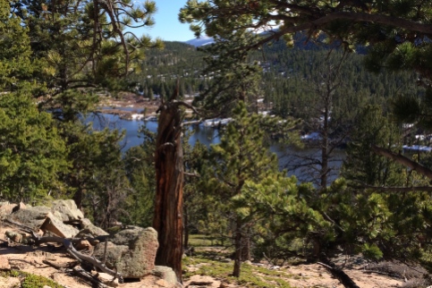 View from the trail above Lily Lake